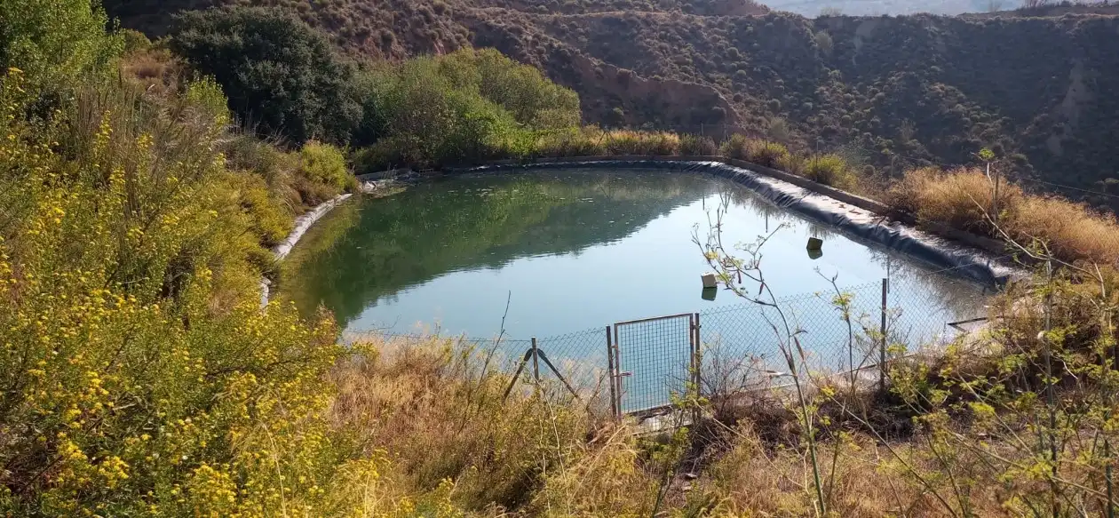 Swimming pool of Houses for sale in Lobras