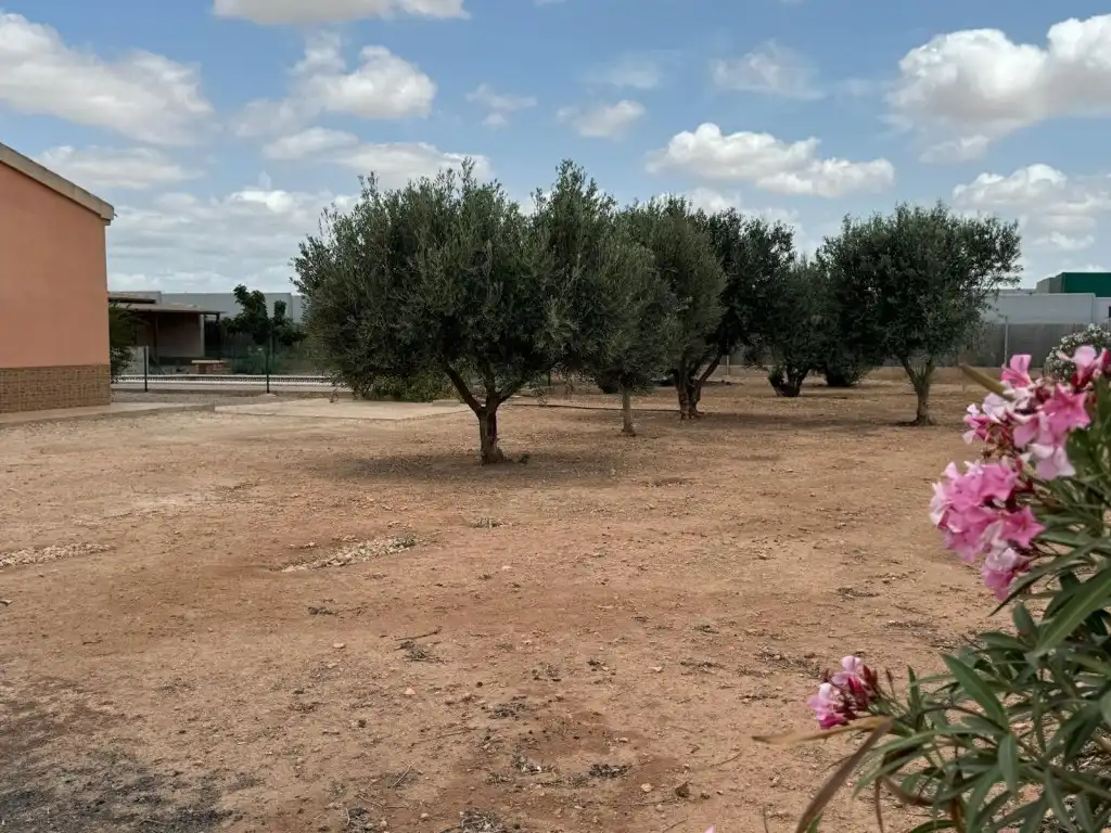 Detached homes for sale in Balsapintada - El Estrecho