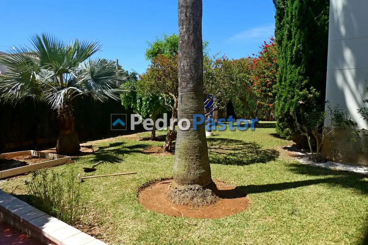 Jardín de Apartamento en venta en Dénia con Aire acondicionado, Calefacción y Jardín privado