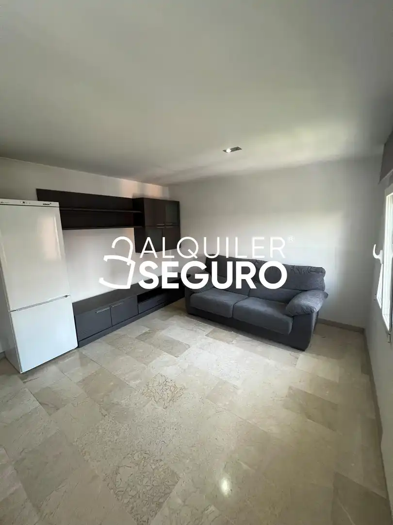 Living room of Flat for rent in Madrid  with Furnished