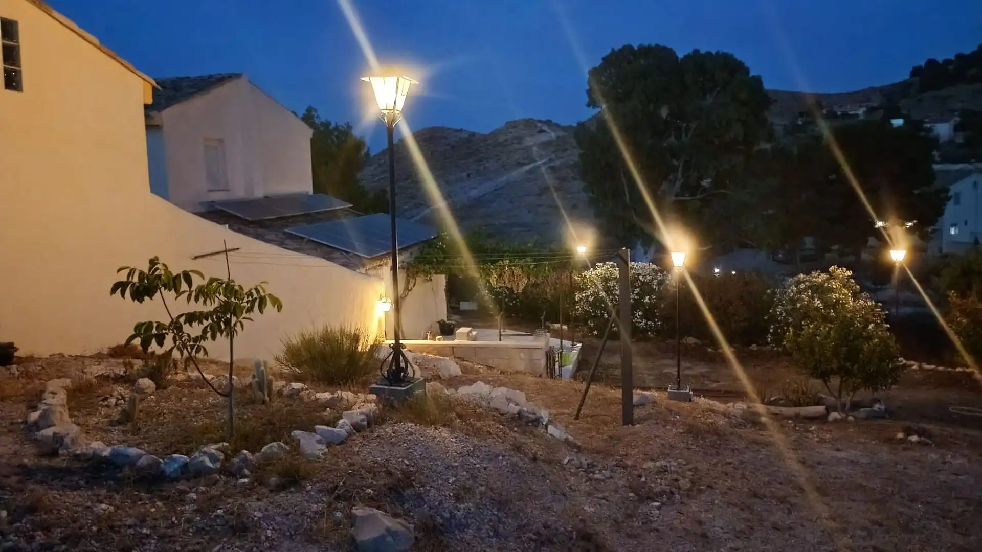 Vista exterior de Finca rústica en venta en Aspe