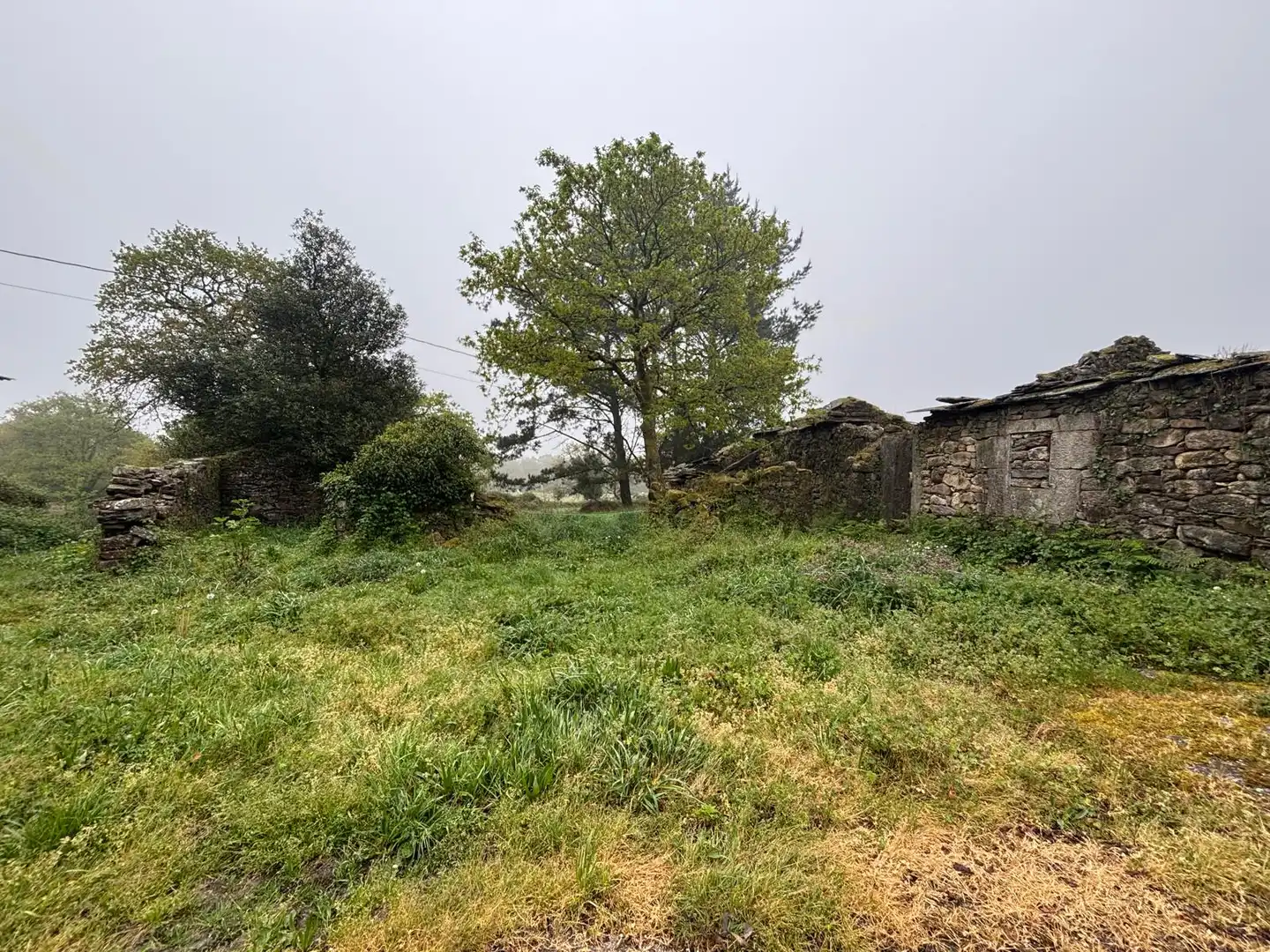 Finca rústica en venta en Guitiriz
