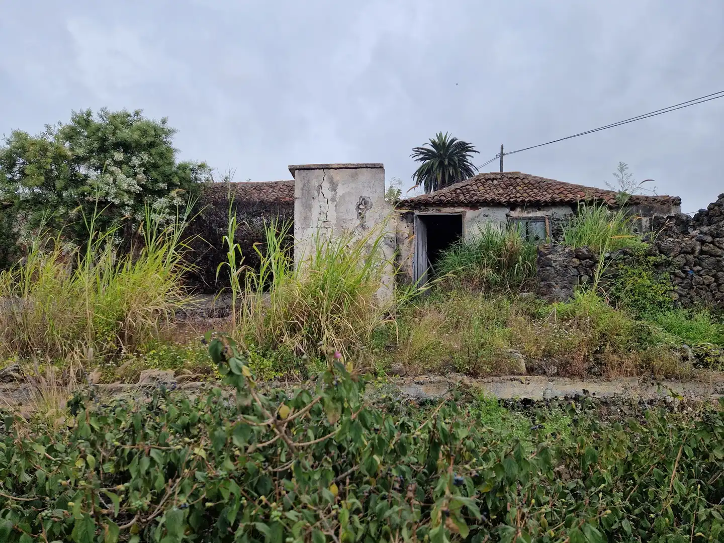 Vista exterior de Terreno en venta en Puerto de la Cruz
