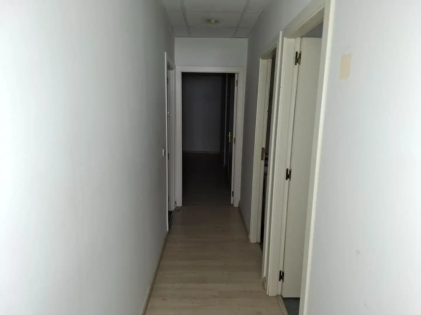 Geschaftsraum zur Miete in Alicante / Alacant
