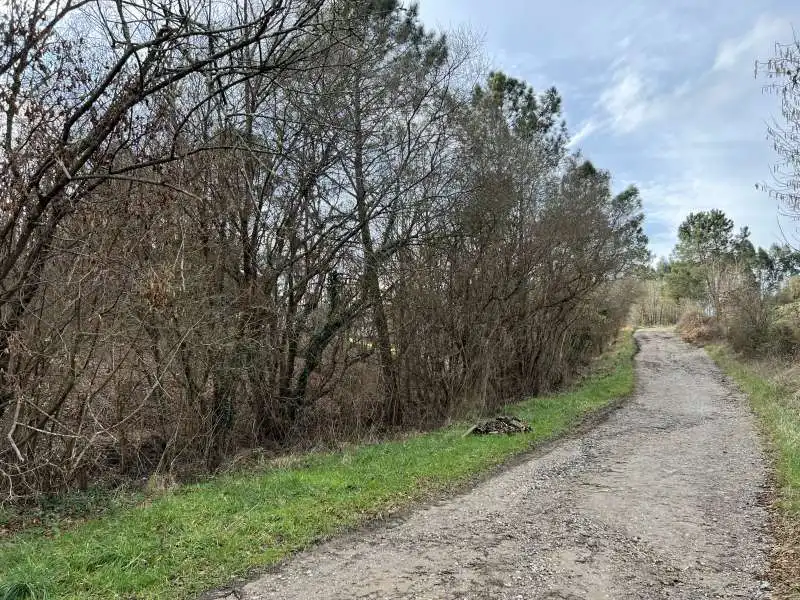 Terreni e lotti in vendita a Parroquias Norte, imagen 19
