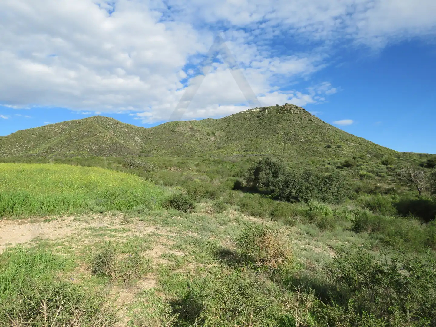 Land for sale in Cartagena