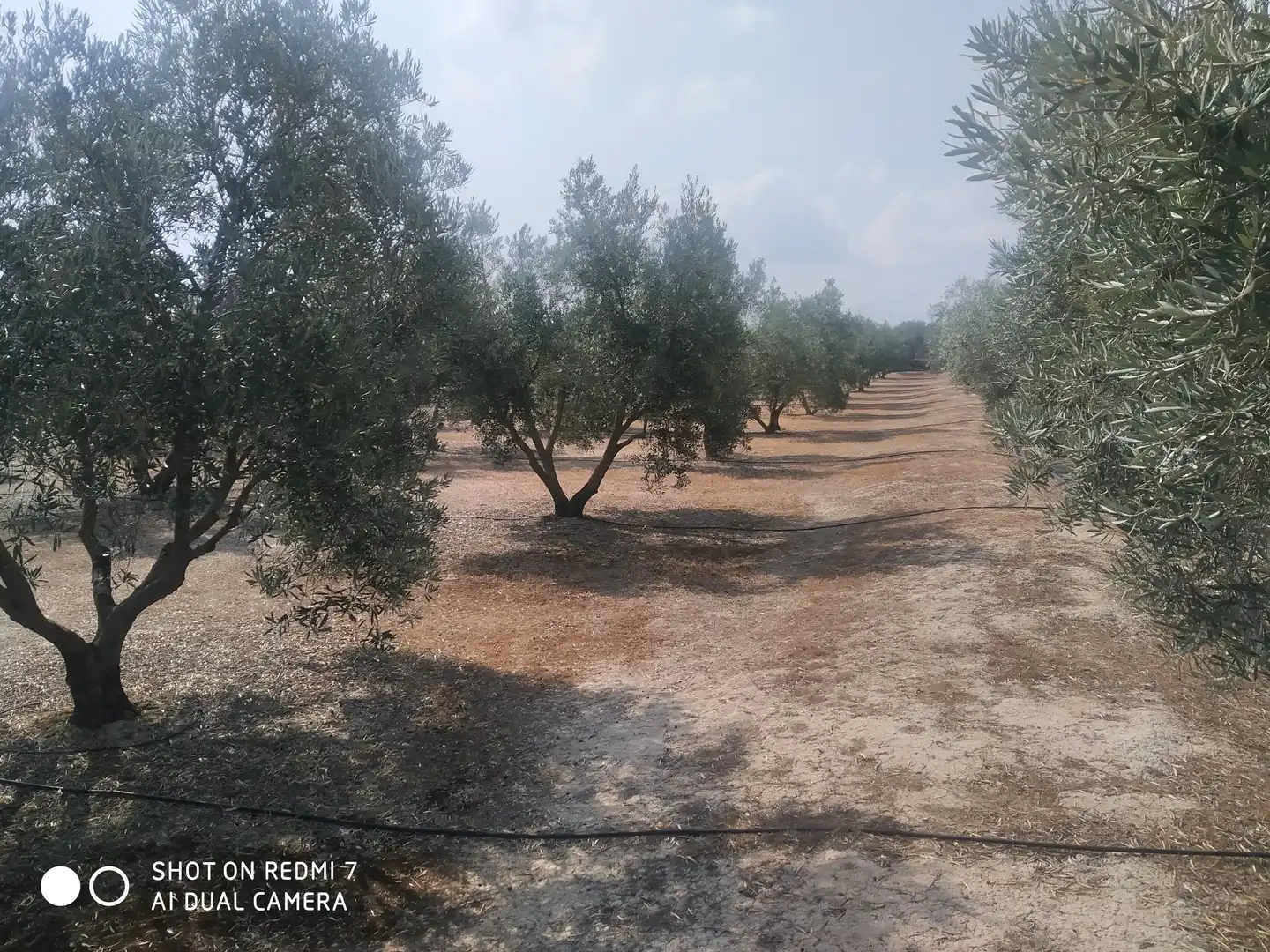 Xalet en venda a Baza, imagen 16