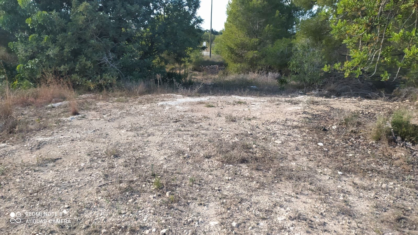 Nau industrial en venda en Burjassot