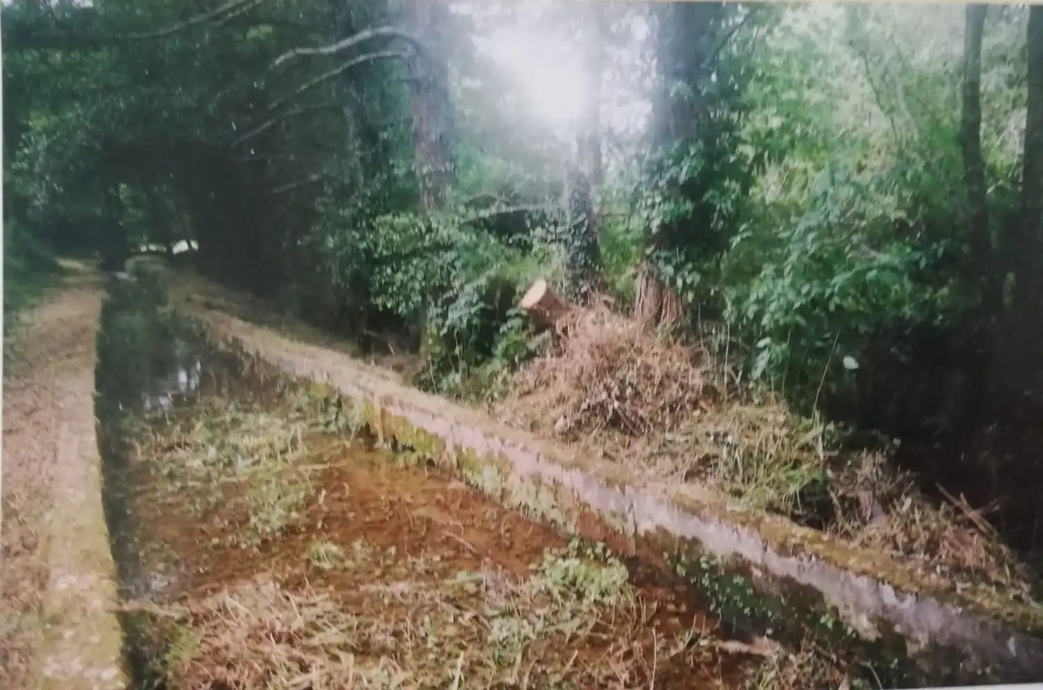 Finca rústica en venda en Ortigueira amb Jardí privat