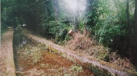 Foto 3 de Finca rústica en venda a Lugar Clara, 57, Ortigueira, A Coruña