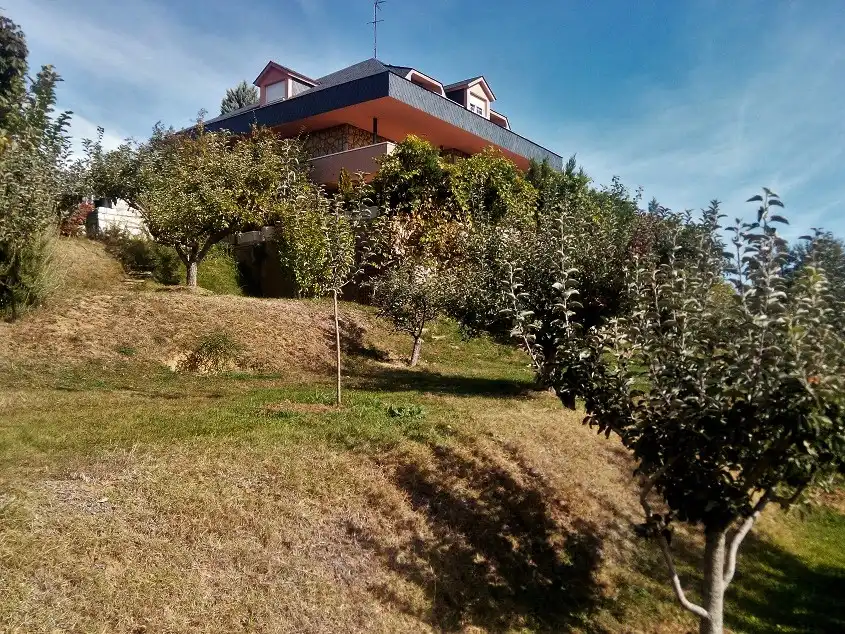Terreny rústic en venda a Paraje Los Polvorines, imagen 4