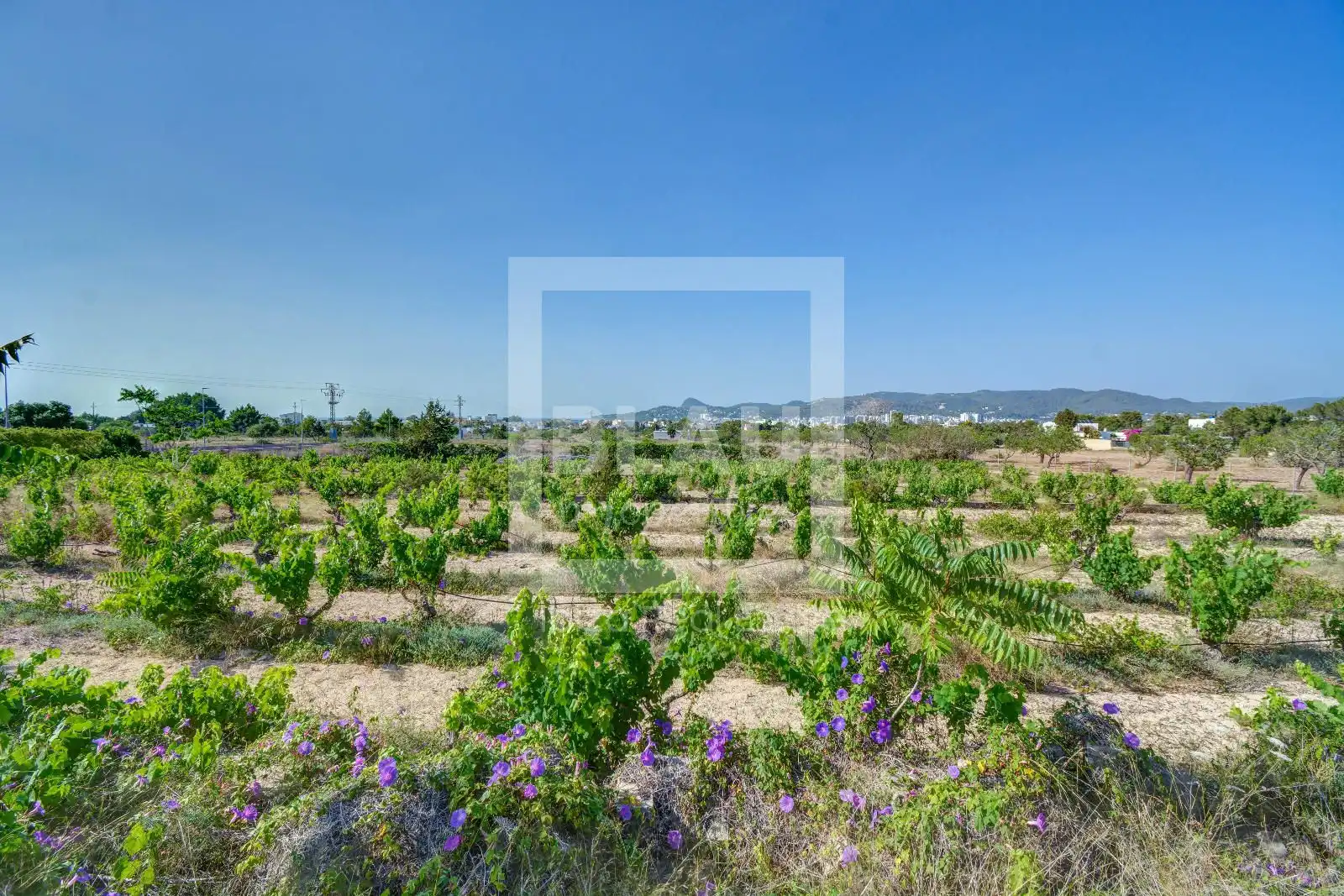 Houses for sale in Sant Josep de sa Talaia  with Air Conditioner, Terrace and Storage room
