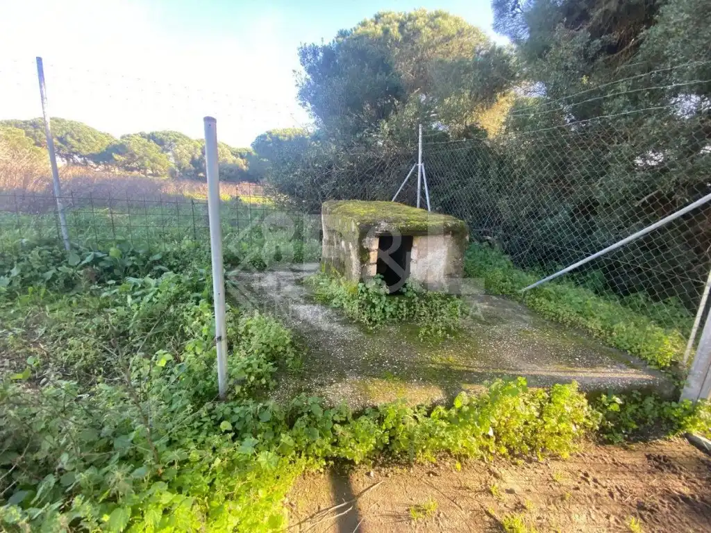 Finca rústica en venta en Gibraleón