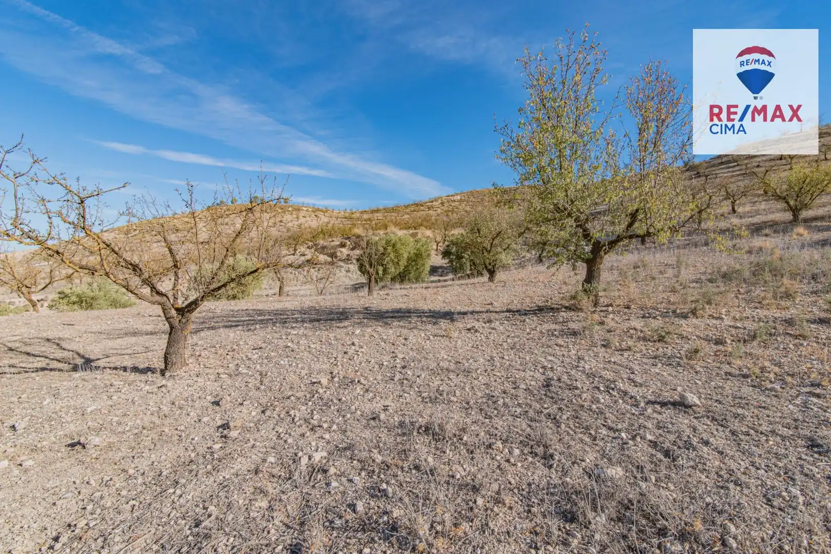 Terreno en venta en Santa Cruz del Comercio