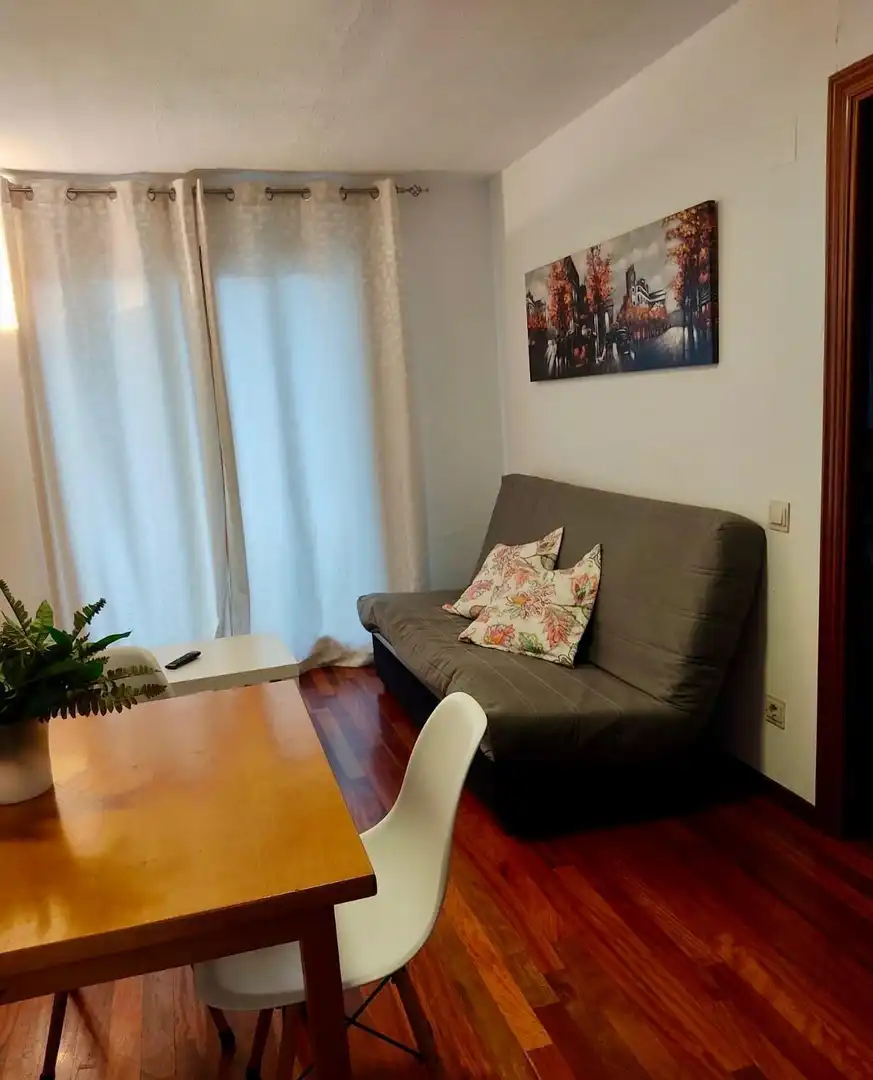 Sala d'estar de Pis en venda en Canfranc amb Calefacció, Parquet i Terrassa