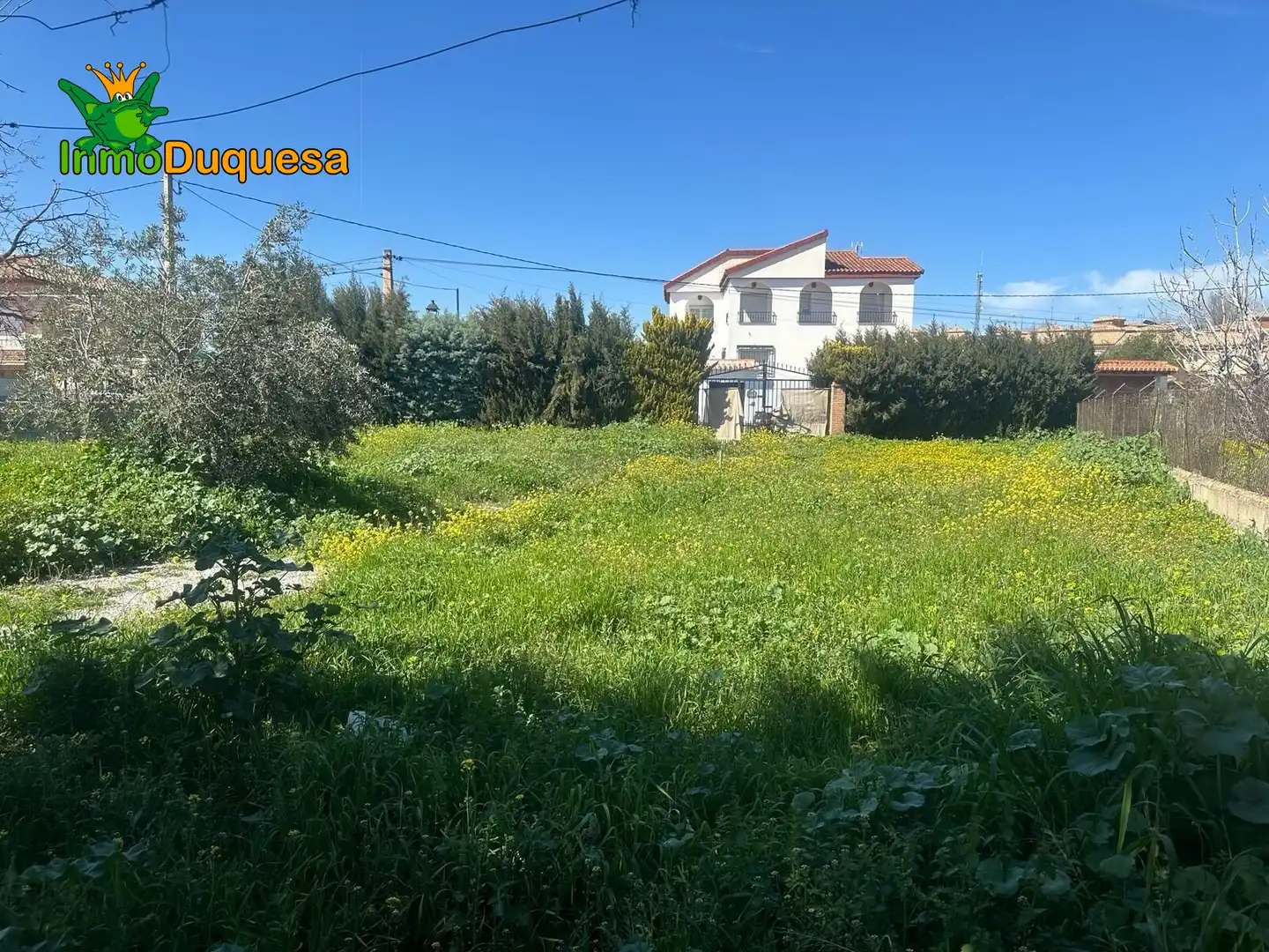 Terreni e lotti in vendita a Ogíjares, imagen 15
