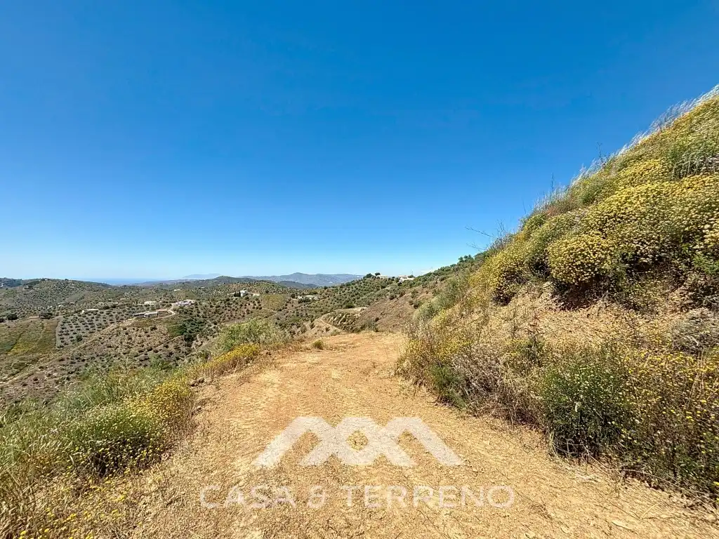 Land for sale in Canillas de Albaida