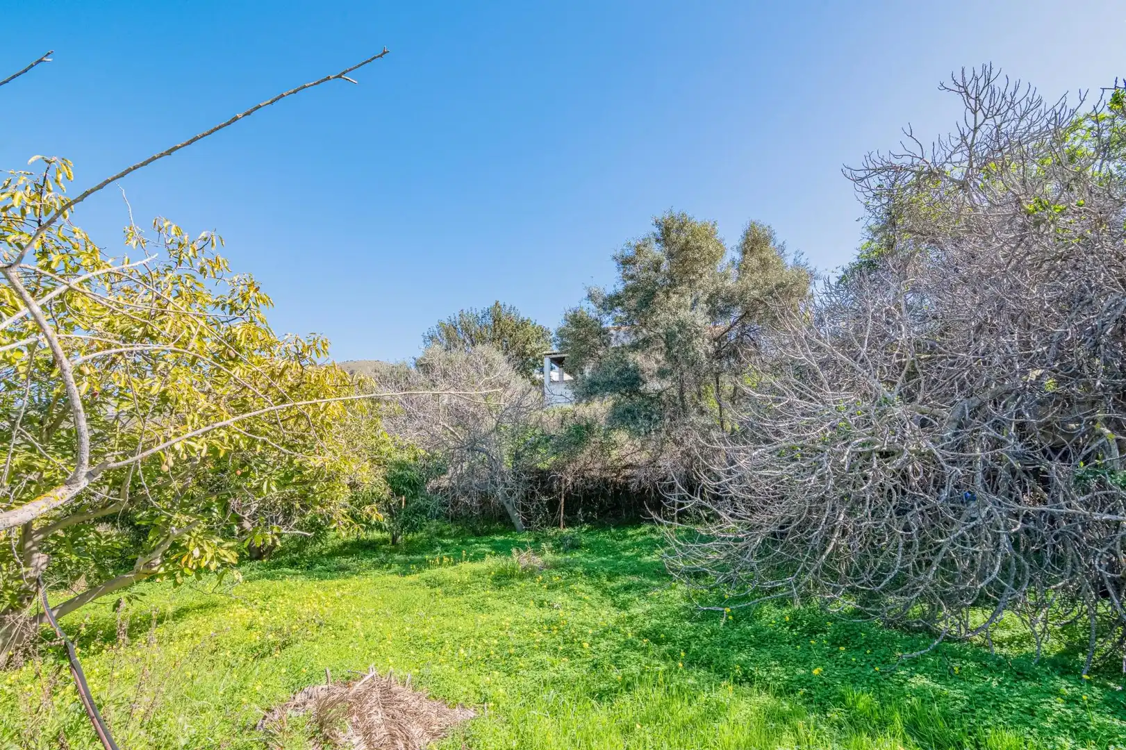 Casa o chalet en venta en Motril con Jardín privado, Terraza y Piscina