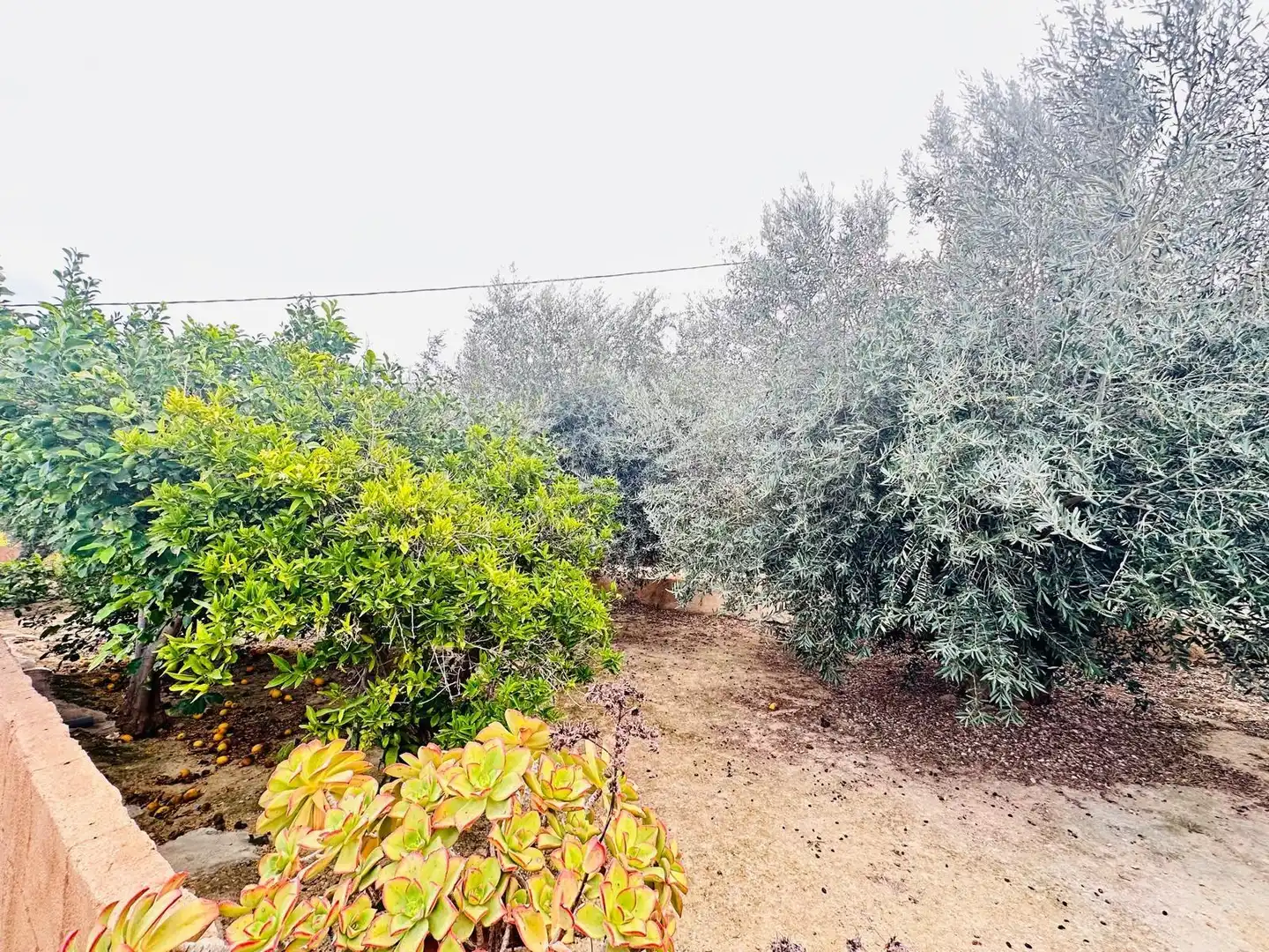 Casa o xalet en venda en Ulea amb Aire condicionat, Calefacció i Jardí privat