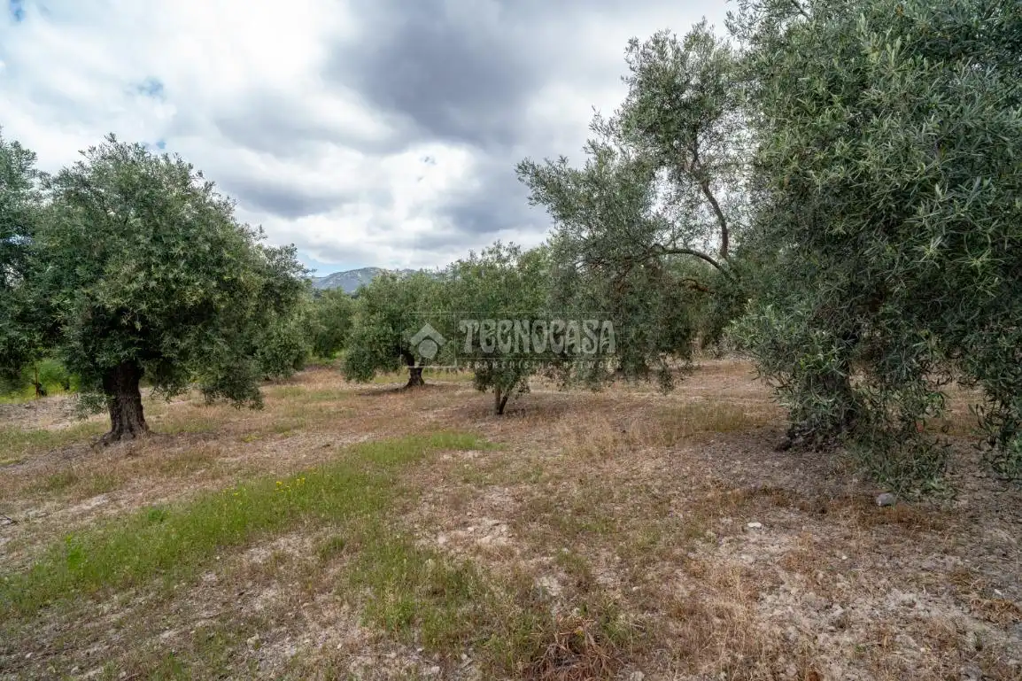 Terreni e lotti in vendita a Albaicín, imagen 31