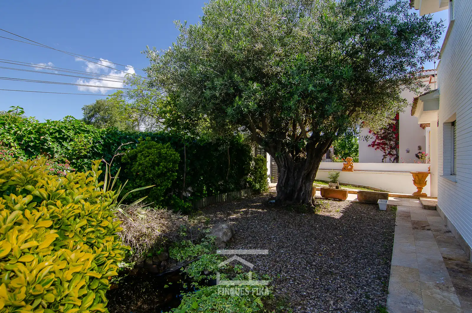 Jardín de Casa o chalet en venta en El Masnou con Calefacción, Jardín privado y Parquet