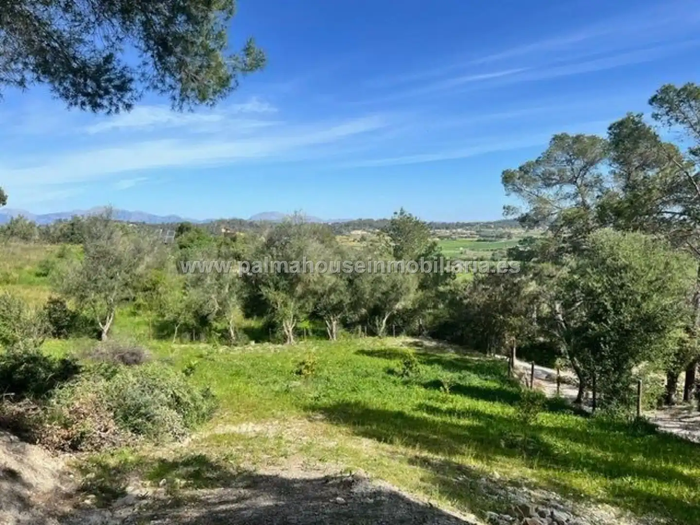 Country homes for rent in Sineu