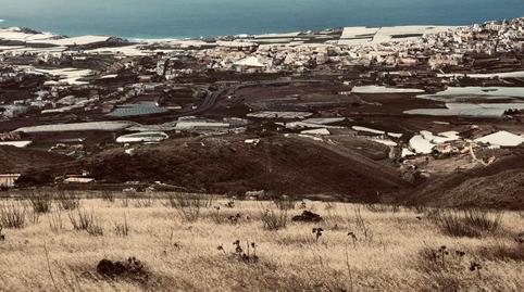 Photo 5 of Land for sale in  Polígono 5 Parcela 247 Buenavista. Galdar (las Pa, 5, Los Quintana - Piso Firme, Las Palmas