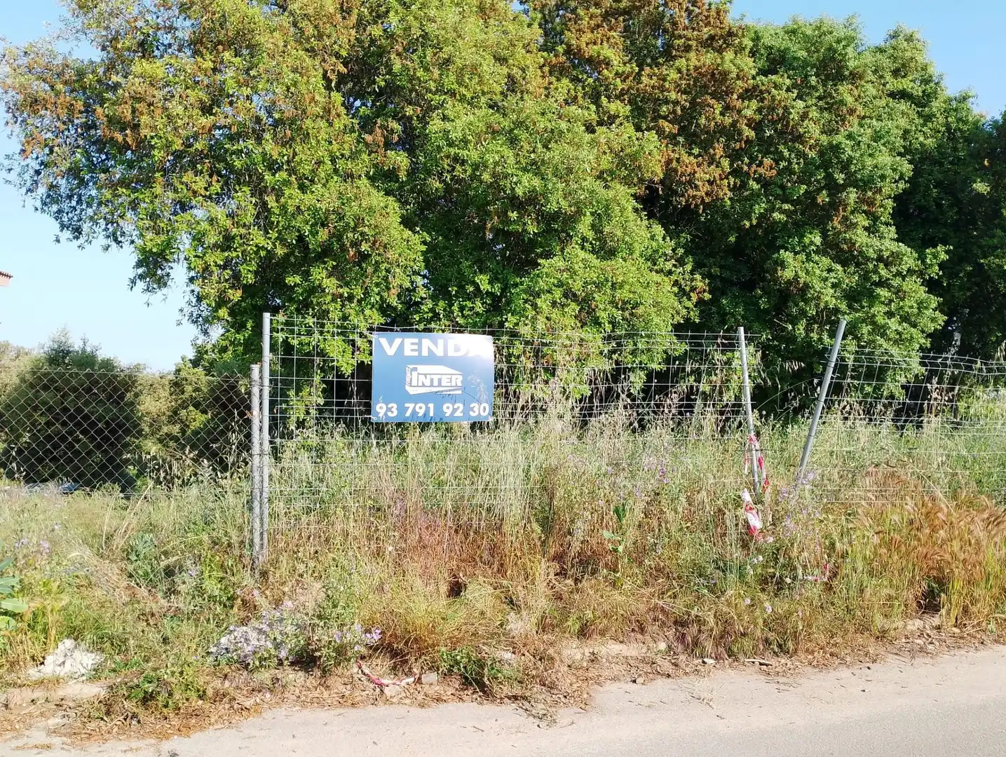 Lands and plots for sale in Can Massuet del Far, imagen 4