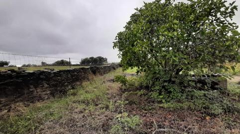 Photo 3 of Country house for sale in Botija, Cáceres