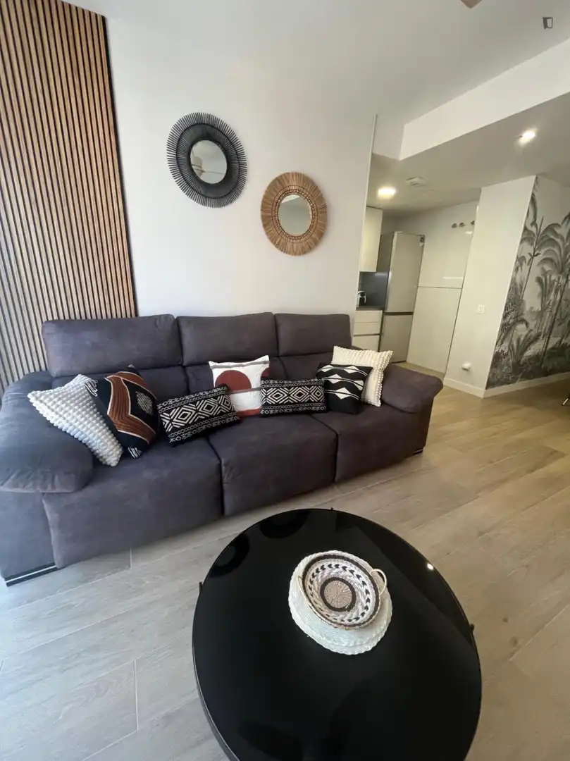 Sala d'estar de Apartament de lloguer en Madrid amb Aire condicionat, Calefacció i Moblat