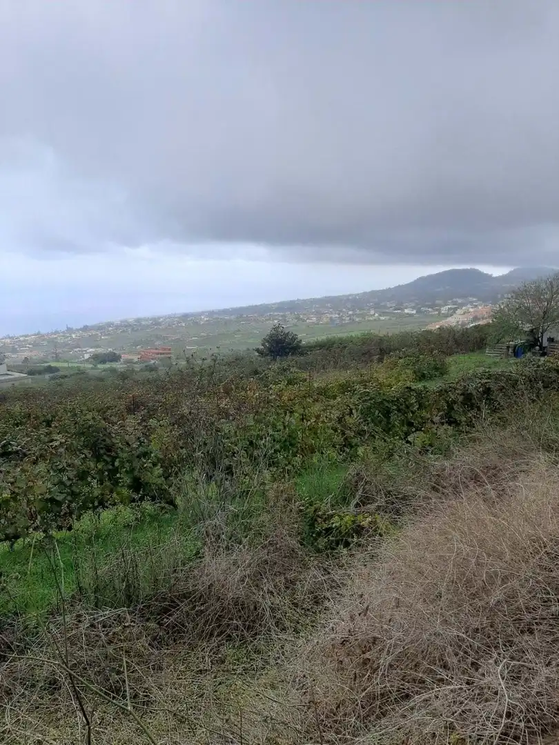 Terreny rústic en venda a CRUZ DE LEANDRO, imagen 15