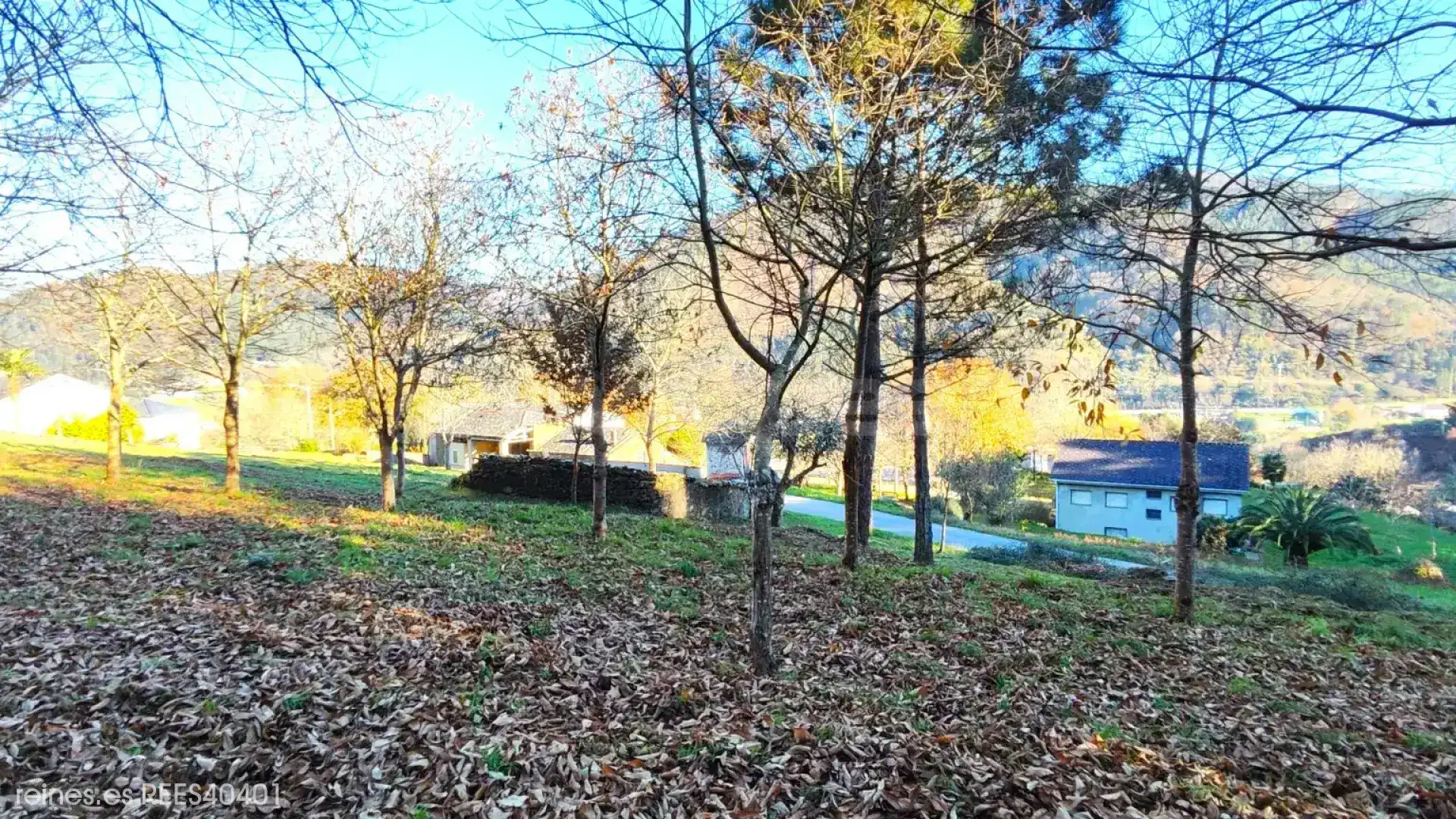 Residencial en venta en A Pontenova  