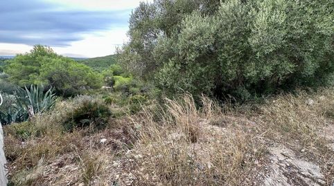 GRAN TERRENO CON VISTAS!!!, image 3