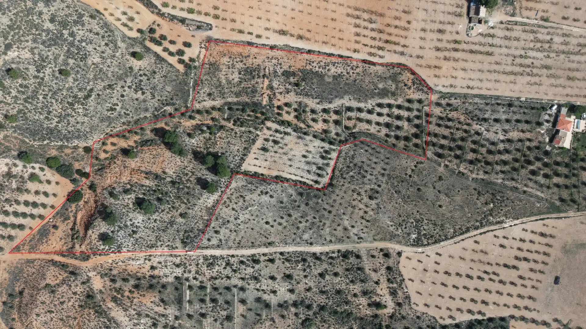 Residential land for sale in Yecla, imagen 14