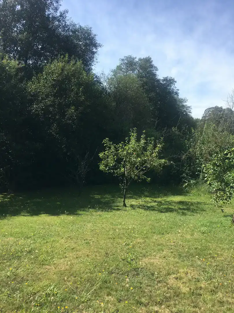 Finca rústica en venta en Mesía con Jardín privado, Parquet y Amueblado