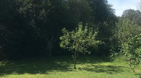 Foto 3 de Finca rústica en venda a Lugar Xestosa, 3, Mesía, A Coruña