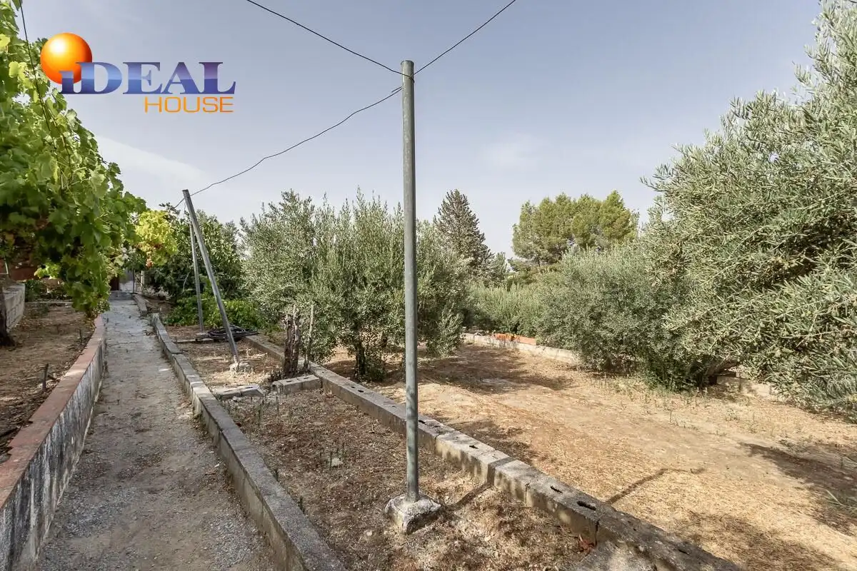 Xalet amb piscina en venda a Aljomahima - Ermita, imagen 13