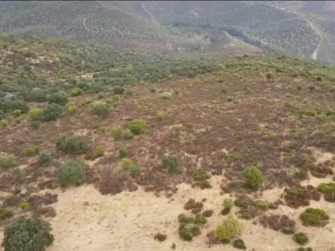 Terreno en venta en Zalamea la Real