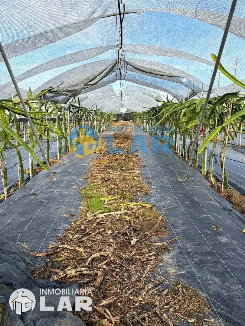 Jardín de Terreno en venta en San Juan del Puerto