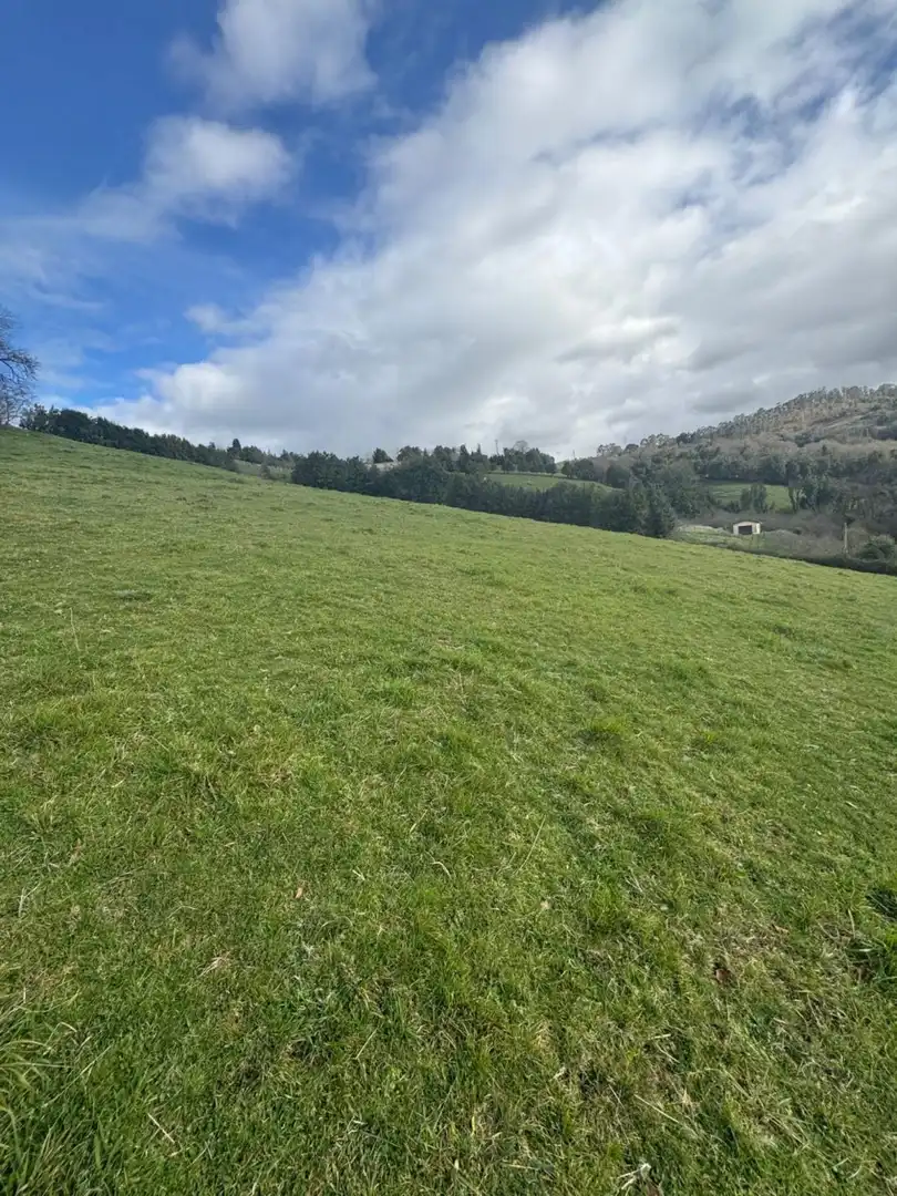 Terreny residencial en venda a Rural, imagen 20