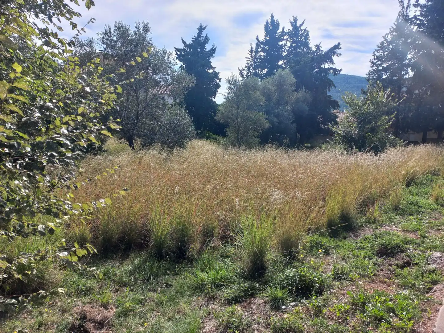 Lands and plots for sale in Bigues i Riells del Fai, imagen 6