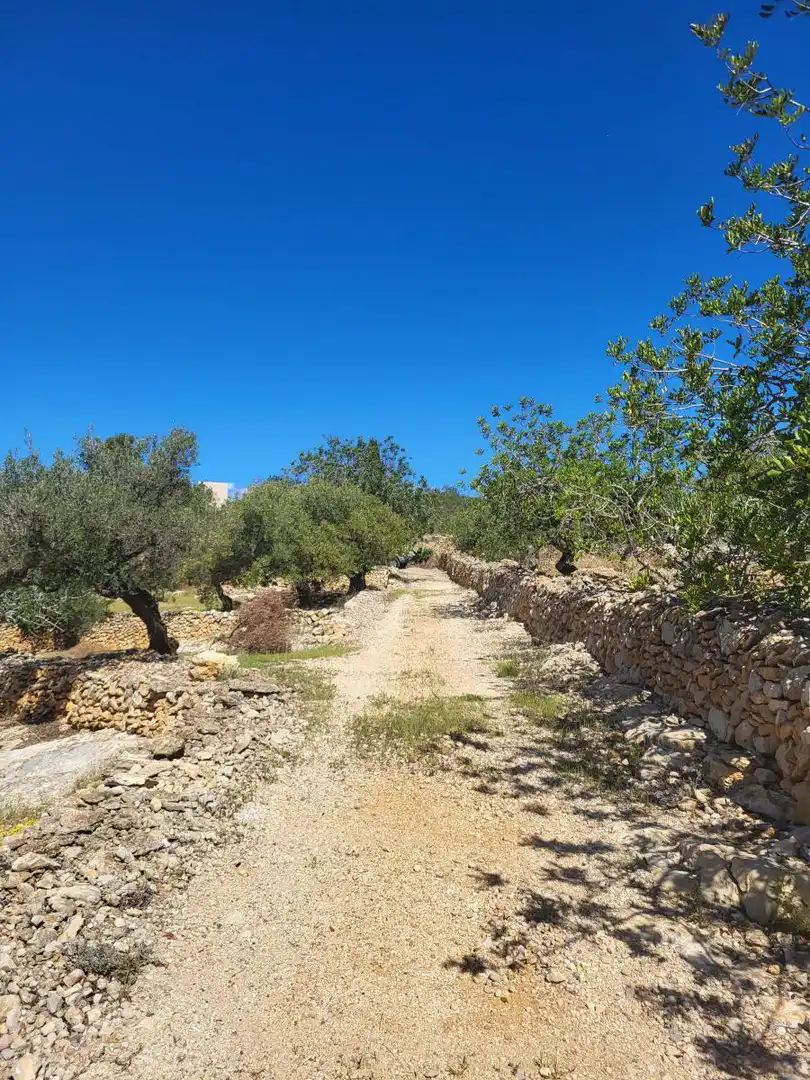 Country house for sale in Bassa del mig, imagen 25