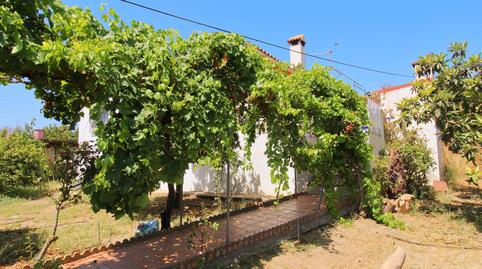 Photo 4 of Country house for sale in El Romeral - Peñón de Zapata, Málaga