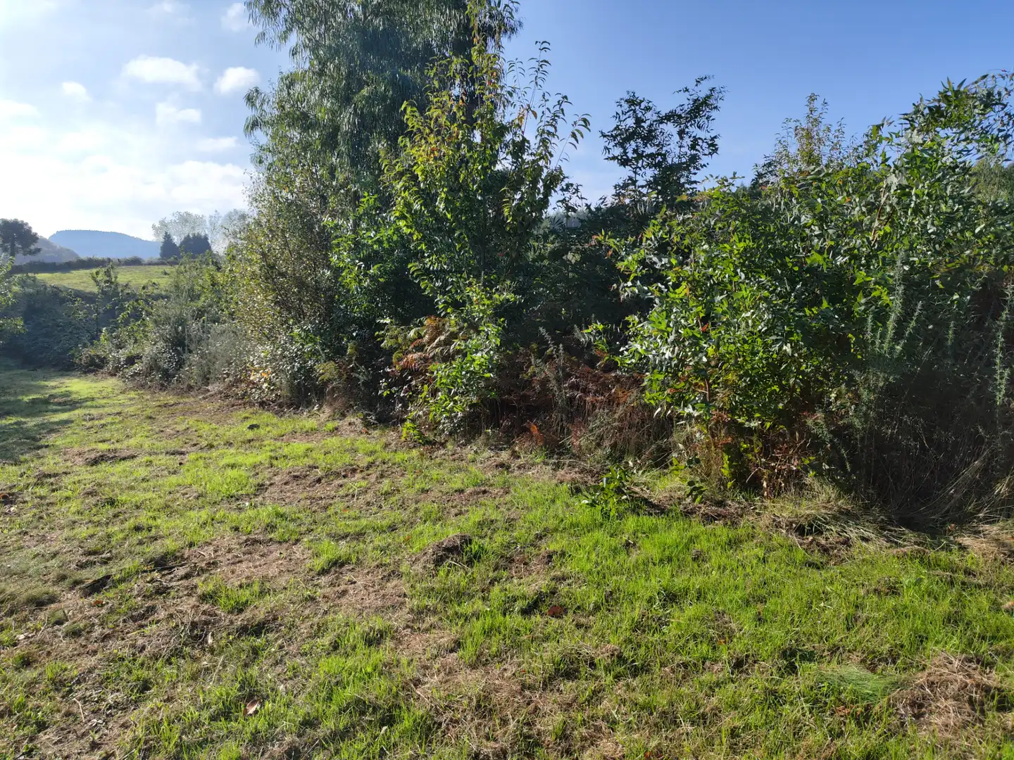 Land for sale in Dumbría