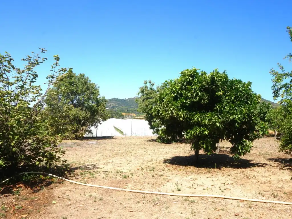 Houses for sale in Pineda de Mar