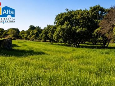 Rural land for sale in Aldea del Cano