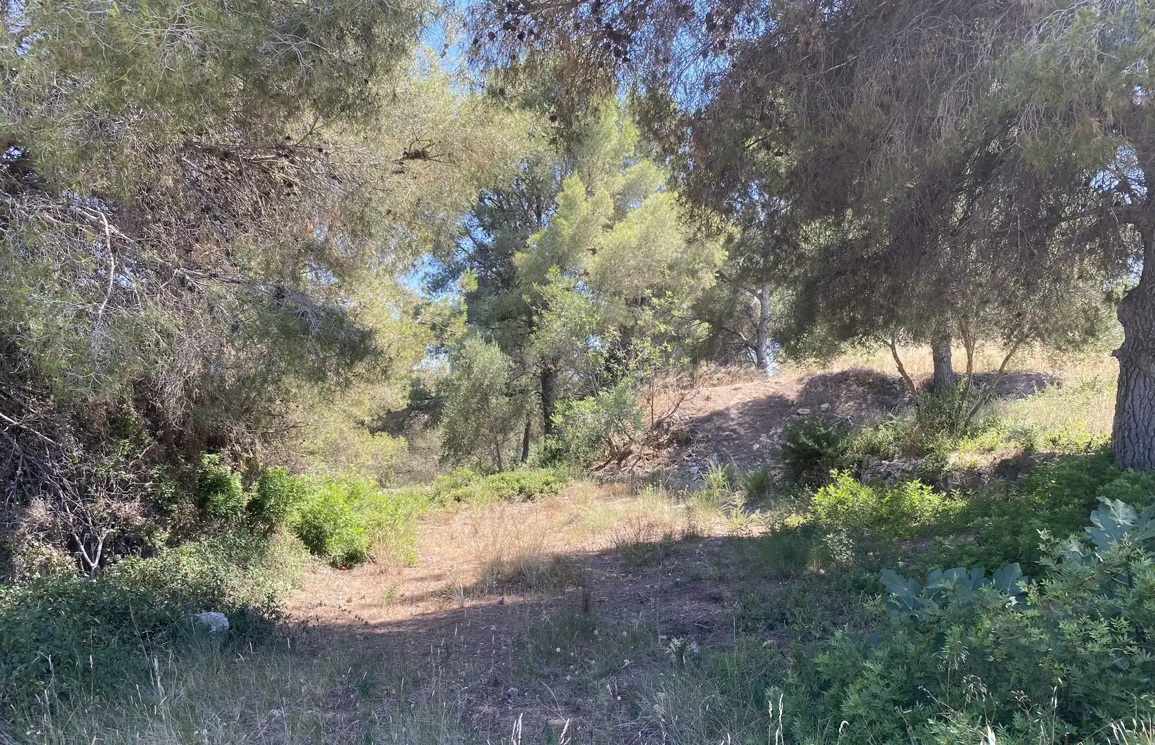 Residential land for sale in Urbanitzacions de Llevant, imagen 30