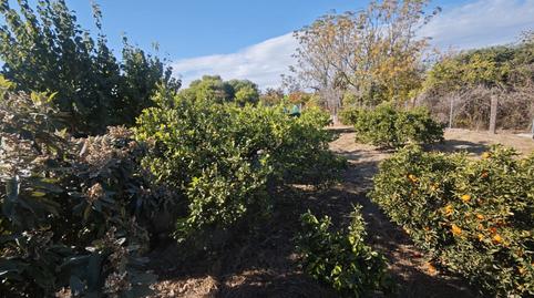 Foto 2 de Terreno en venta en Camino Regueron, 3, El Palmar, Murcia