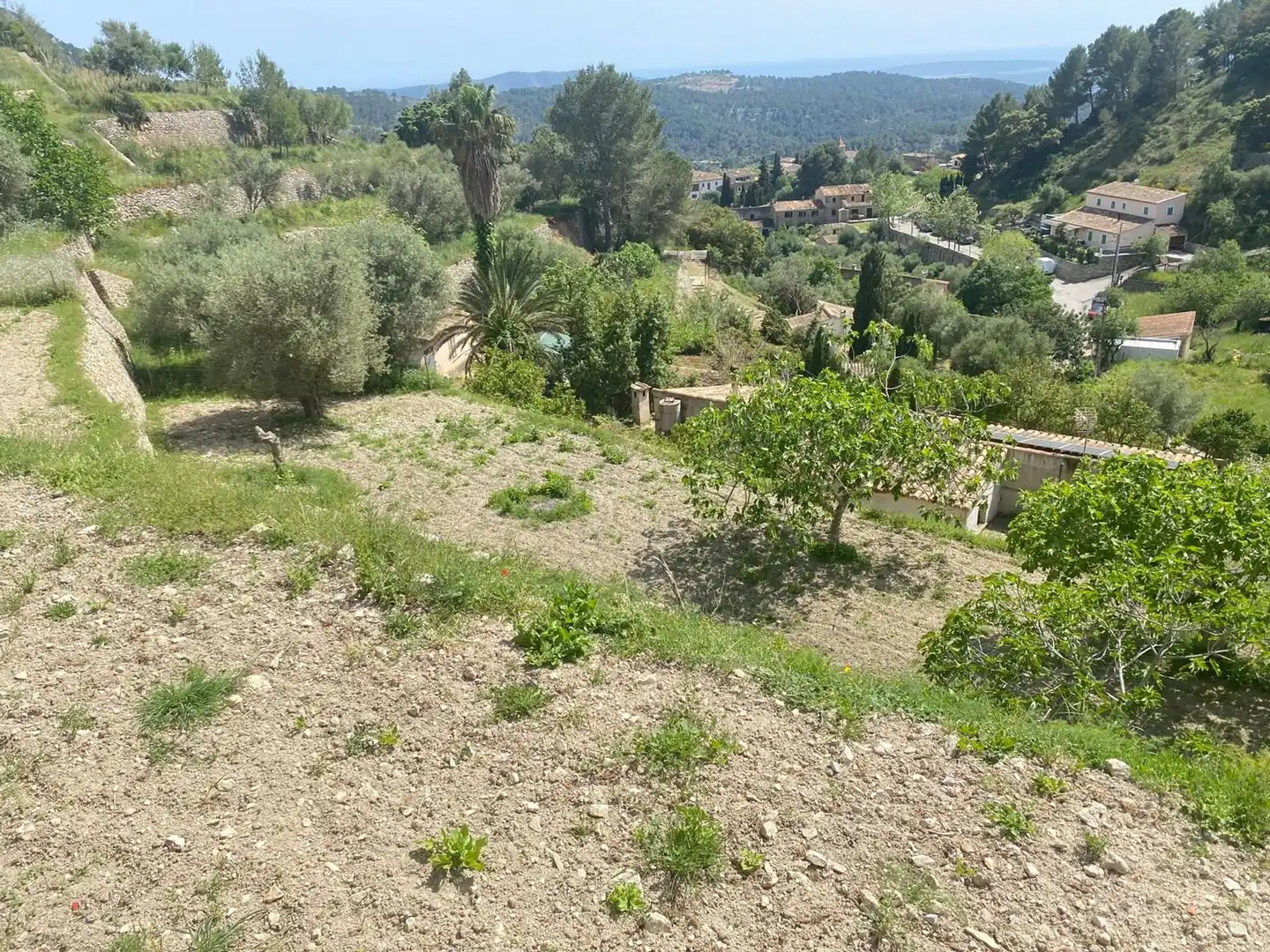Wohnbaugrundstück zum Verkauf in Puigpunyent, imagen 5
