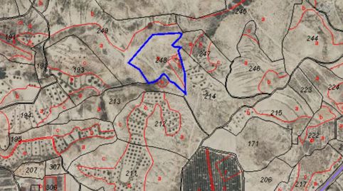 Foto 4 de Terreny en venda a Paraje la Alquibla Nº Sn, Ojós, Murcia